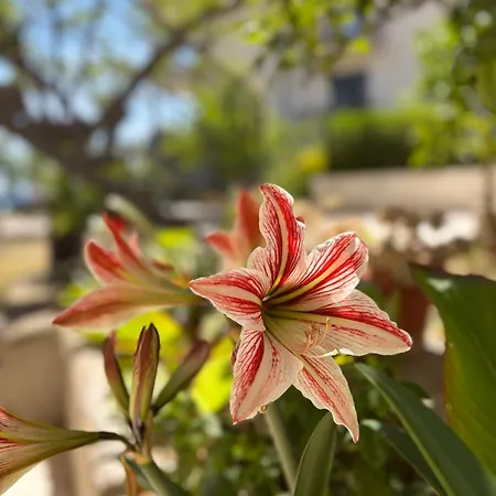 Luxury Cascades - Sea View & Private Covered Parking * Trogir